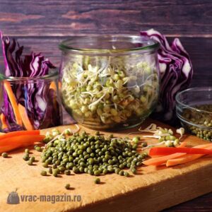 Fasole Mung – 10kg/sac